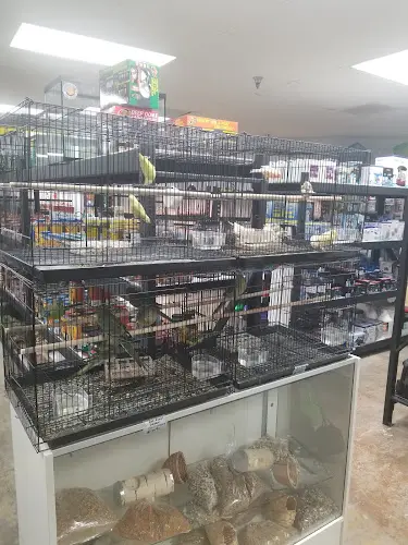 Pet boarding service High Desert Pet Shop Hesperia