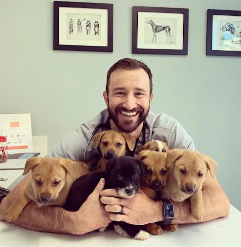 Pet vet East Sacramento Veterinary Center Sacramento