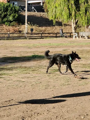 Dog Park Tabano Hollow Open Space Ventura