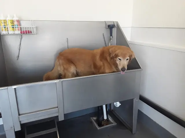 Pet boarding service Centinela Feed & Pet Supplies Fullerton