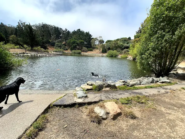 Dog Park McLaren Upper Reservoir San Francisco