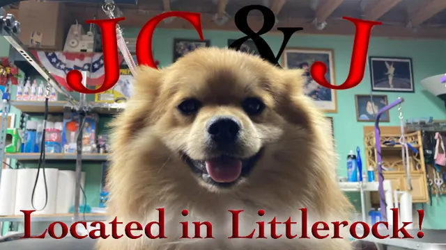 Dog Grooming JC&J PETS R US Palmdale