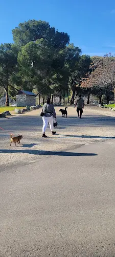 Dog Park Winton Park Clovis