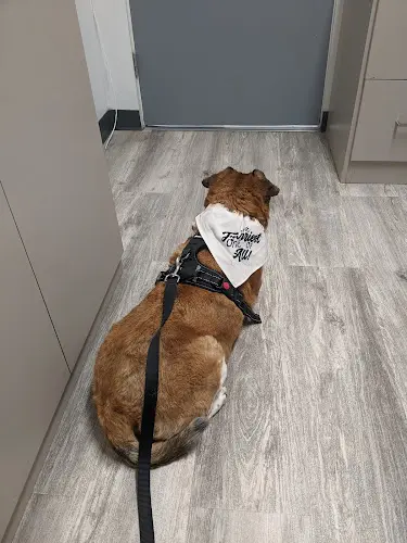 Pet vet Sunny Hills Veterinary Hospital Carson