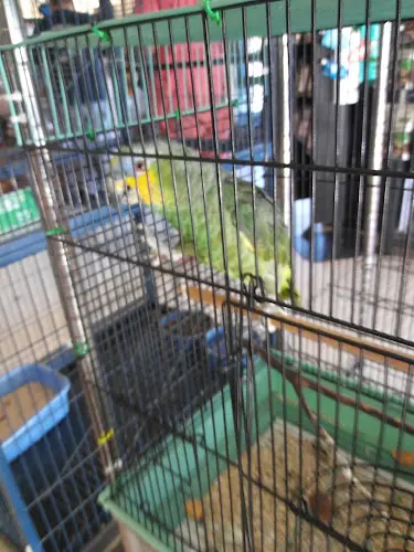 Pet boarding service Pet Shoppe Vallejo