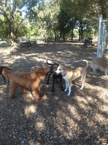 Dog Park Charles "Chuck" Williams Memorial Dog Park Santa Rosa