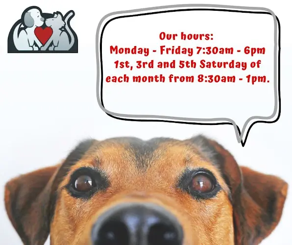 Pet vet Marine View Veterinary Hospital Kent