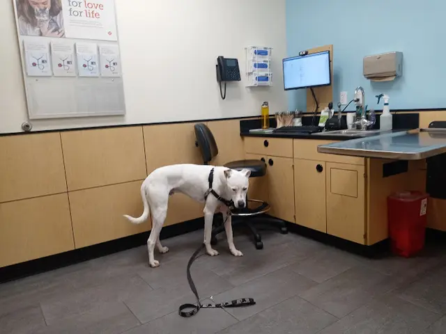Pet vet Banfield Pet Hospital Oceanside