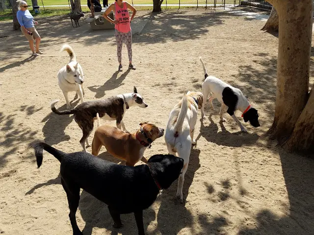 Dog day care center Etiwanda Creek Dog Park Rancho Cucamonga