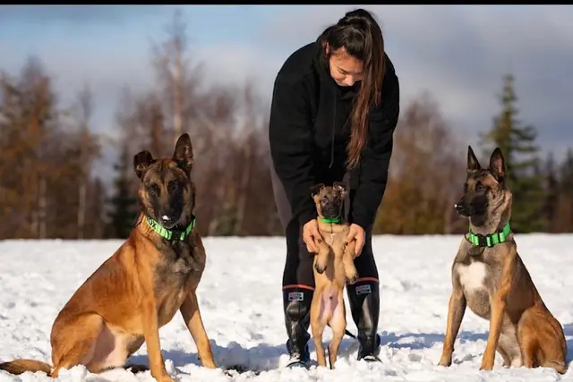 Dog trainer HellaK9s Anchorage