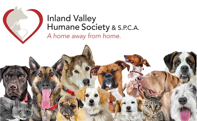 Dog breeder Inland Valley Humane Society and S.P.C.A. West Covina