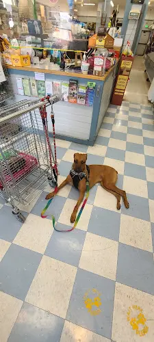 Dog Grooming Powell Bros. Feed & Pet Supply Vallejo