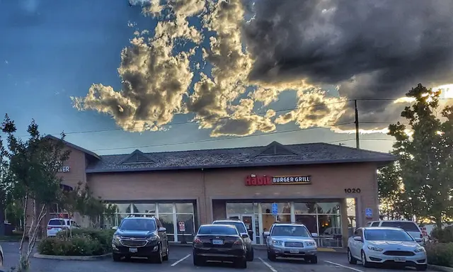 Rescue & Shelter The Habit Burger Grill Redding