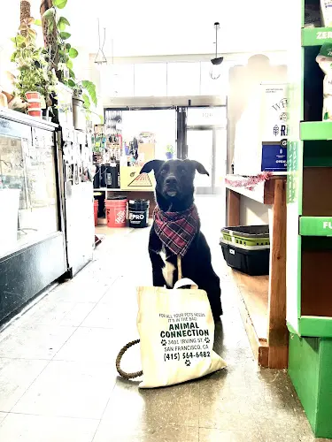 Pet boarding service The Animal Connection San Francisco
