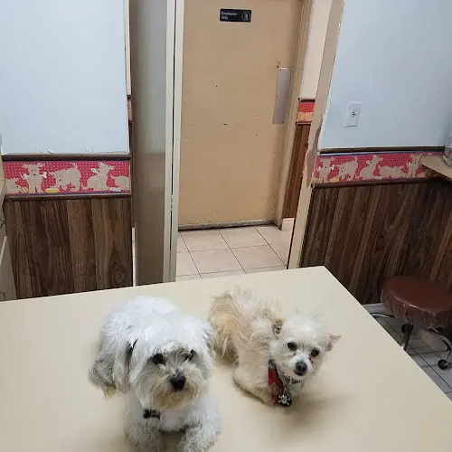 Pet boarding service Orange-Tustin Animal Hospital Anaheim