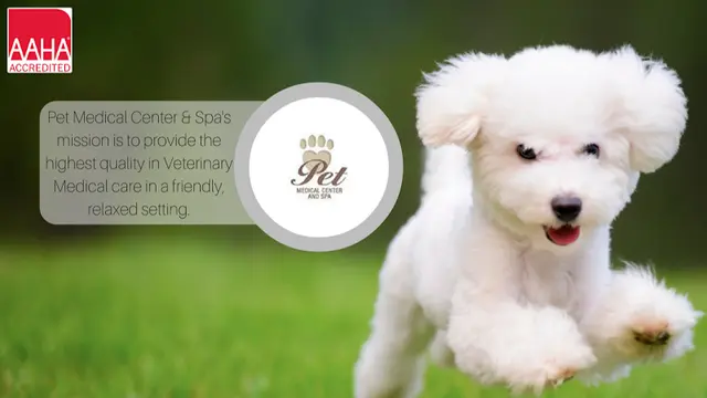 Dog day care center Pet Medical Center & Spa Fresno