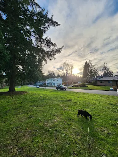 Dog Park Kelsey Creek Park Bellevue