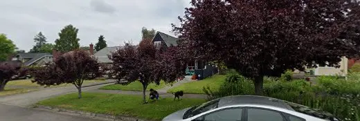 Rescue & Shelter Adoption Love and Service Tacoma