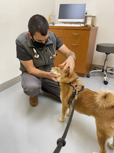 Pet vet Healthier Pet Veterinary Care Orange