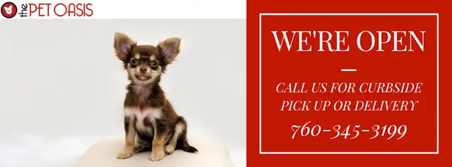 Rescue & Shelter The Pet Oasis Indio