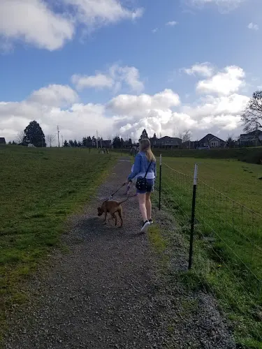 Dog Park City of Ridgefield Dog Park Vancouver