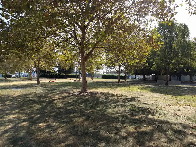 Dog Park Mahany Park Roseville