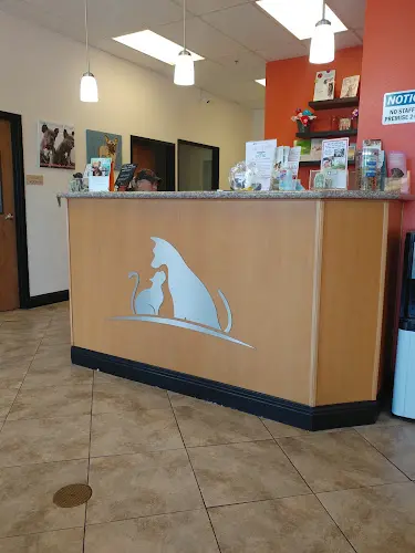 Pet vet Bruceville Pet Hospital Sacramento