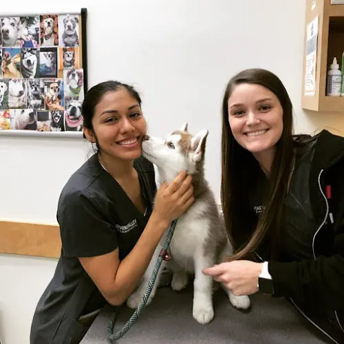Dog day care center Irvine Valley Veterinary Hospital Irvine