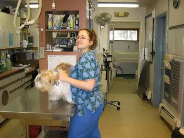 Pet vet VCA East Anchorage Animal Hospital Anchorage