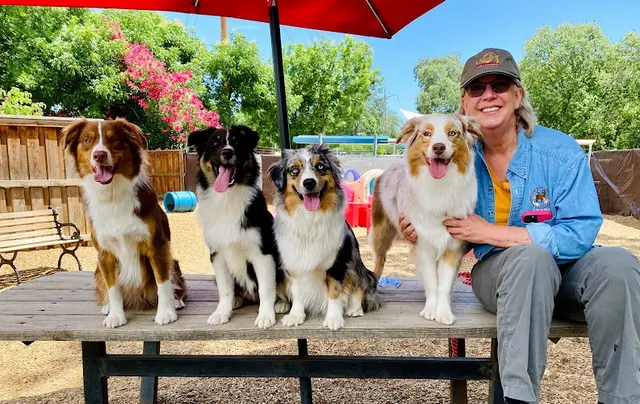 Dog breeder Canine Connection Chico