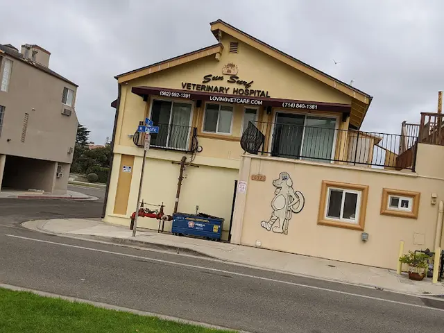 Dog day care center Sun Surf Veterinary Hospital Huntington Beach