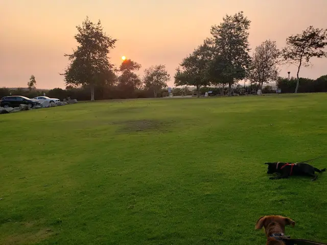 Dog Park Harriett M. Wieder Regional Park Huntington Beach