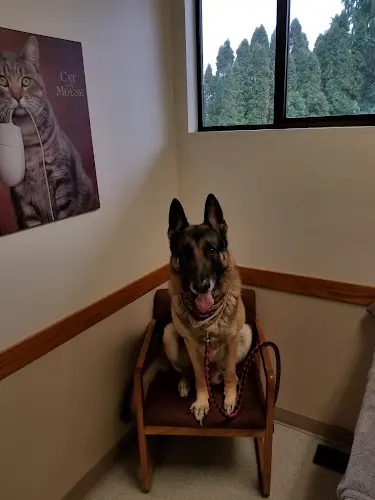 Pet vet Lake Forest Park Animal Hospital Kirkland