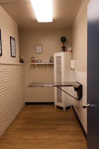 Pet vet Bellevue Animal Hospital Kirkland