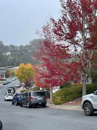 Rescue & Shelter Shelter Creek Condominiums Daly City