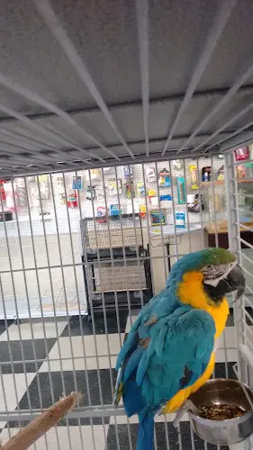 Dog breeder Arrieros Pet Shop Oceanside