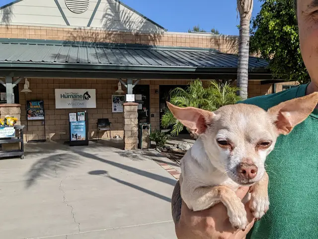 Dog walker San Diego Humane Society's Escondido Campus Escondido