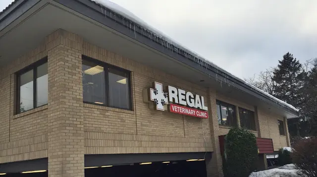 Dog day care center Regal Veterinary Clinic Spokane