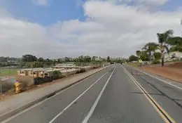 Dog walker Lonny Brewer County Park El Cajon