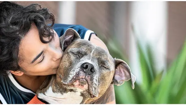 Pet boarding service Banfield Pet Hospital Temecula