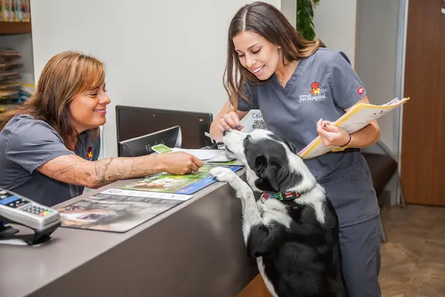 Pet vet Cabrillo Pet Hospital Chula Vista