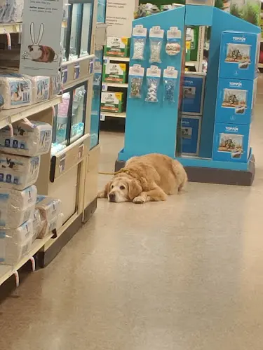 Pet vet PetSmart Renton