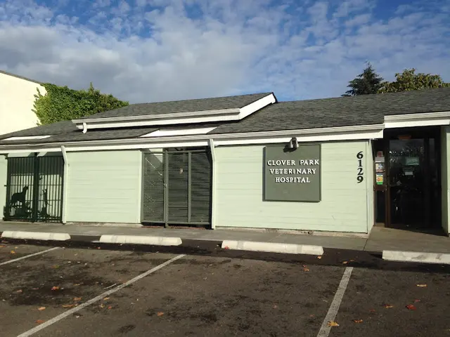 Pet vet Clover Park Veterinary Hospital Tacoma