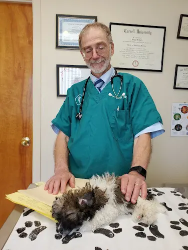 Pet vet Southampton Pet Hospital Richmond