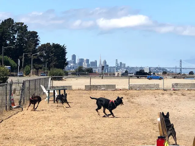 Dog Park Main Street Dog Park Oakland