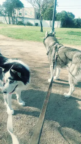 Dog trainer Stanford Avenue Park South Gate
