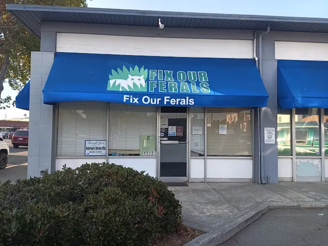 Dog day care center Animal Fix Clinic (formerly Fix Our Ferals) Richmond
