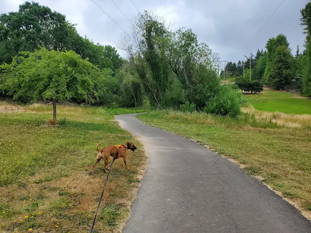 Dog Park Burntwood Park Hillsboro
