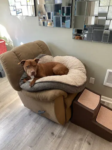 Dog day care center Riverside Animal Hospital Bend