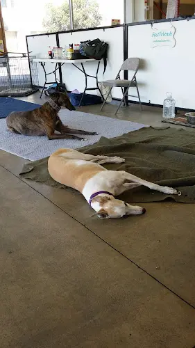 Dog breeder Centinela Feed & Pet Supplies Carson